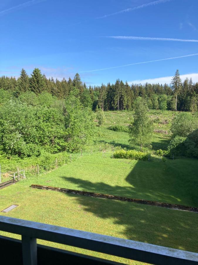 Hahnenklee Charme - Moderne Neue Ferienwohnung Mit 2 Balkons Goslar Bagian luar foto
